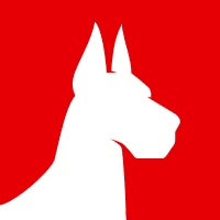 Great Dane Great Dane